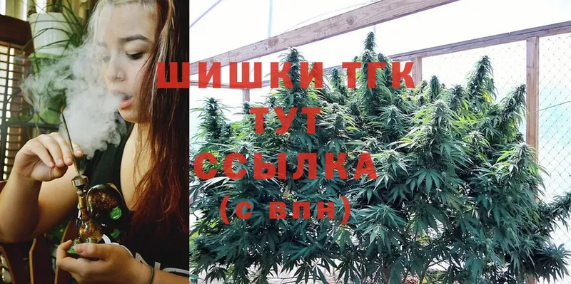 Канабис SATIVA & INDICA  мега как войти  Лермонтов  купить закладку 